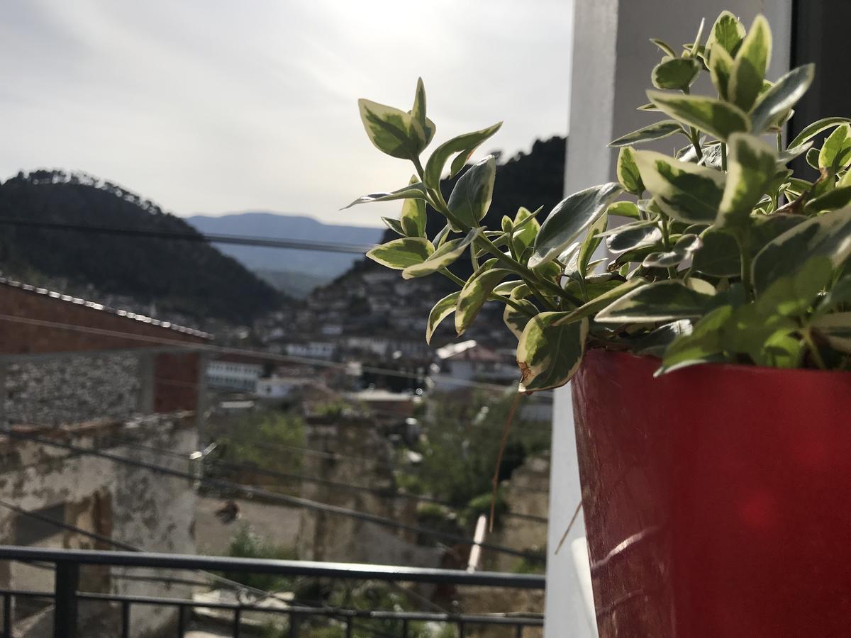 Guesthouse BellaVista Berat Extérieur photo